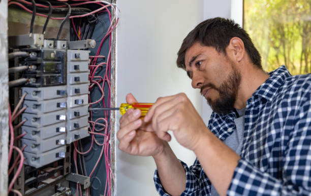 Best Electrical Upgrades for Homes  in Mclendon Chisholm, TX